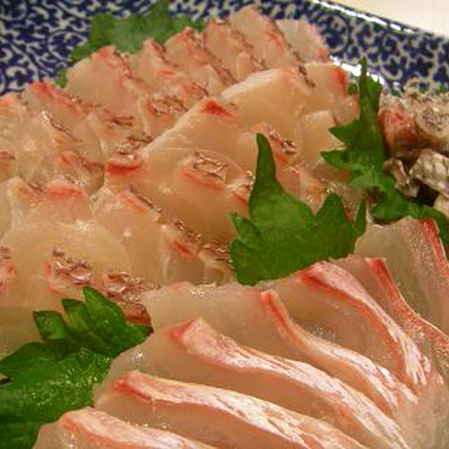 過去最大！５１ｃｍの鯛で松皮造り