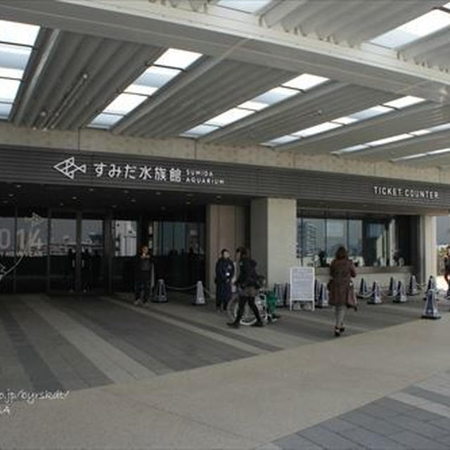 すみだ水族館