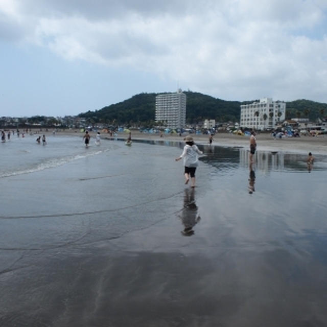 夏休み3日目は鴨川と象