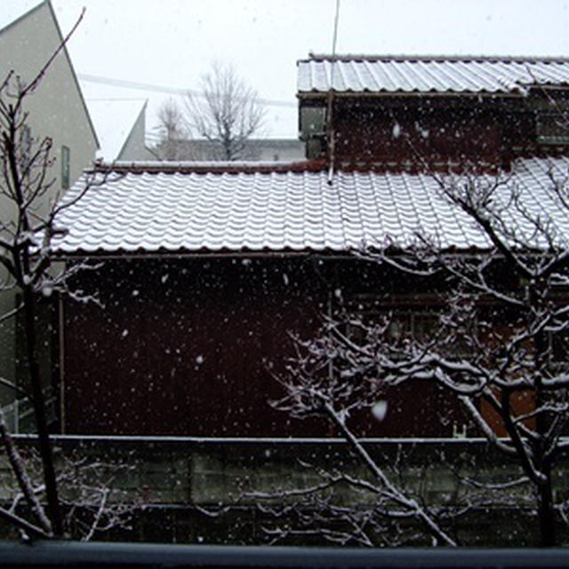 雪～～～(-_~-)