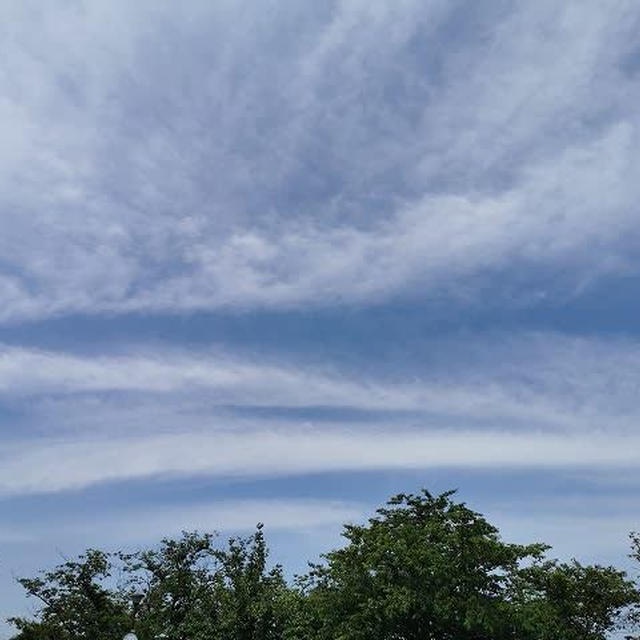 夏の空に近づいているのかな？
