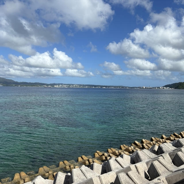 格安沖縄の旅　?道の駅許田