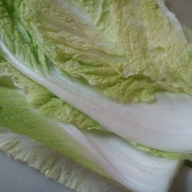 雨が降ったら・・・白菜チヂミ