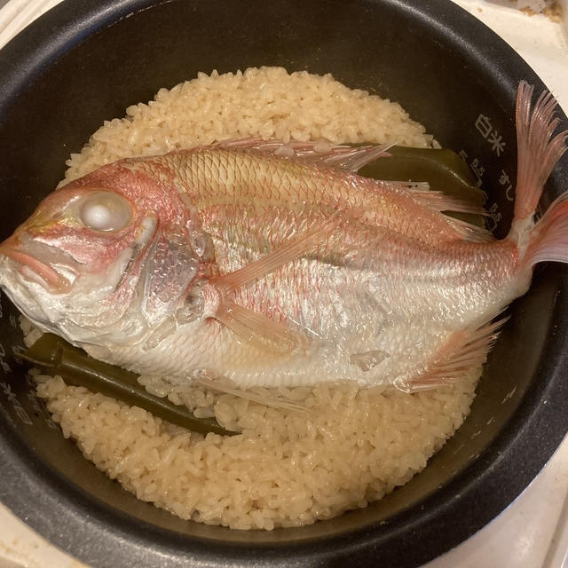 鯛のうまみがたっぷり【鯛めし】