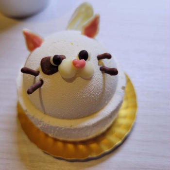 もうすぐ5年に1度の時期ですよ。－ワンちゃんDAY－