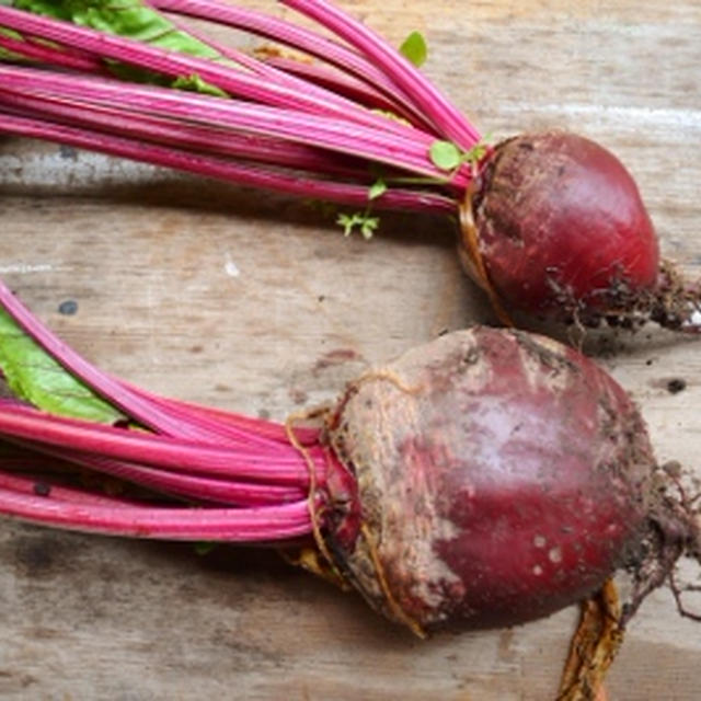 ビーツの葉っぱソテー Sauteed Beet Leaves