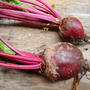 ビーツの葉っぱソテー Sauteed Beet Leaves