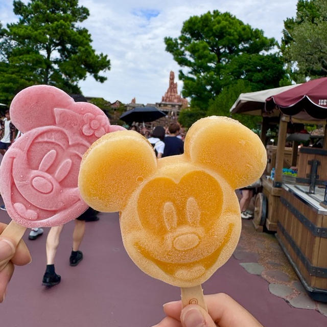 真夏のディズニーと最後のスペースマウンテン