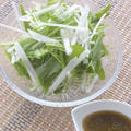 お好みの手作りドレッシングが簡単に！きざみ青じそドレッシングの水菜と大根のサラダ。