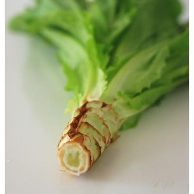 Celtuce