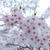 桜満開＼(^o^)／今年は花桃も同時に開花してました(^^)