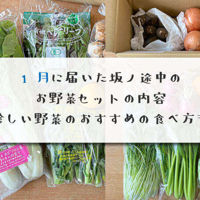 1月に届いた坂ノ途中のお野菜セットの内容【珍しい野菜のおすすめの食べ方も】