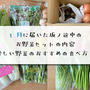 1月に届いた坂ノ途中のお野菜セットの内容【珍しい野菜のおすすめの食べ方も】