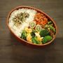 1712個目の2020/3/9のパートナーの相棒のボリューミーお弁当【#お弁当】
