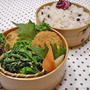 リクエスト・・・ミートコロッケお弁当♪