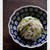 鶏胸肉と新玉ねぎの梅風味サラダ