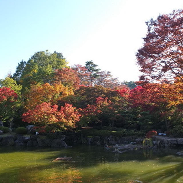 群馬 藤岡市の桜山公園の紅葉と冬桜 レシピブログ