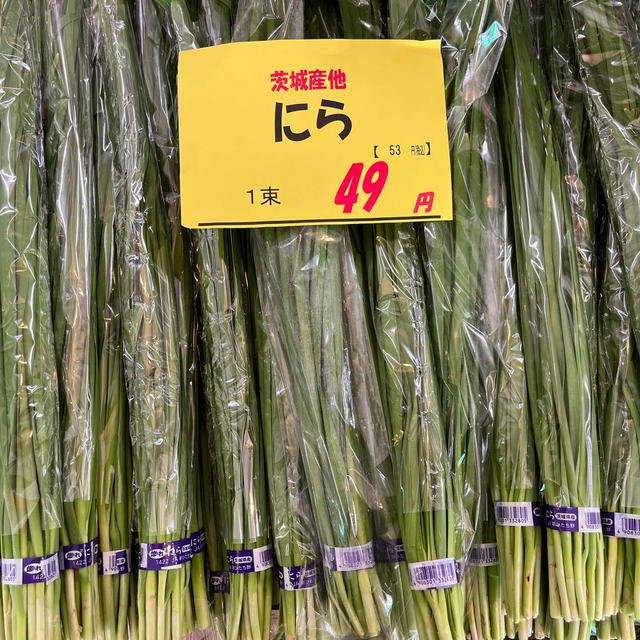 緑のお得がいっぱ～い☆