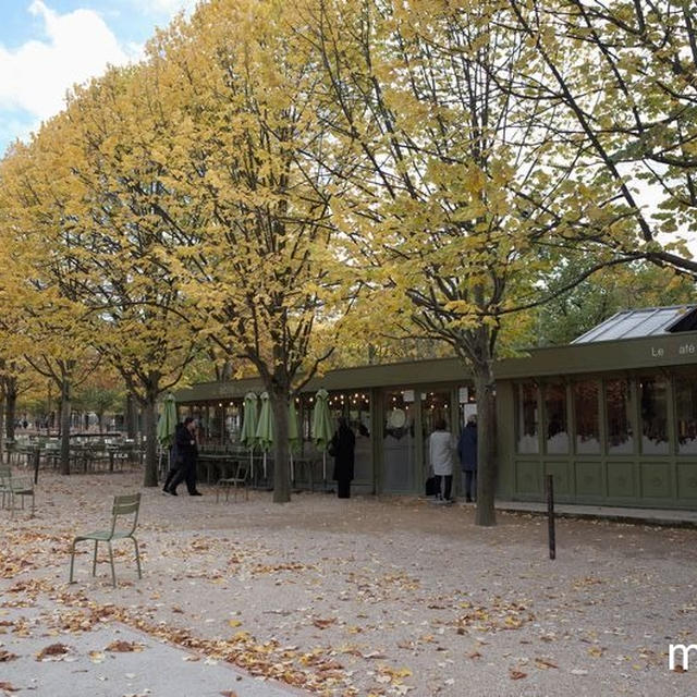 11月のパリ、美しき秋のリュクサンブール公園