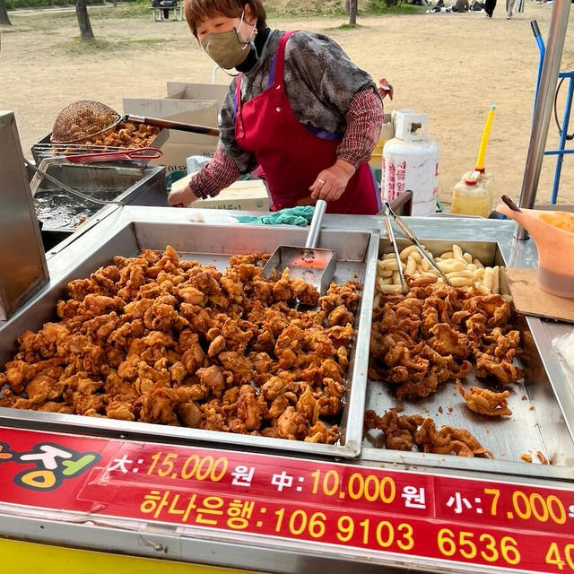 漢江公園でピクニック＋グルメ。屋台のチキンでチメク後、レンタル自転車で走る！