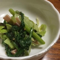 菊菜とキャベツの和風サラダ～レシピブログ「だし×オイルのおいしいコラボ」