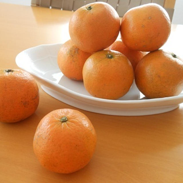 奄美からの贈り物