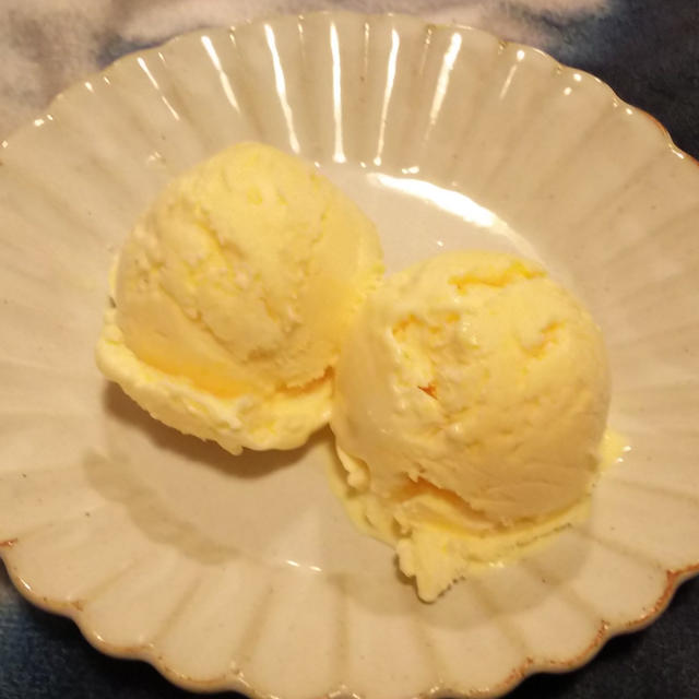 ”【夏の保存版レシピ】お家で簡単手作りバニラアイスクリーム”