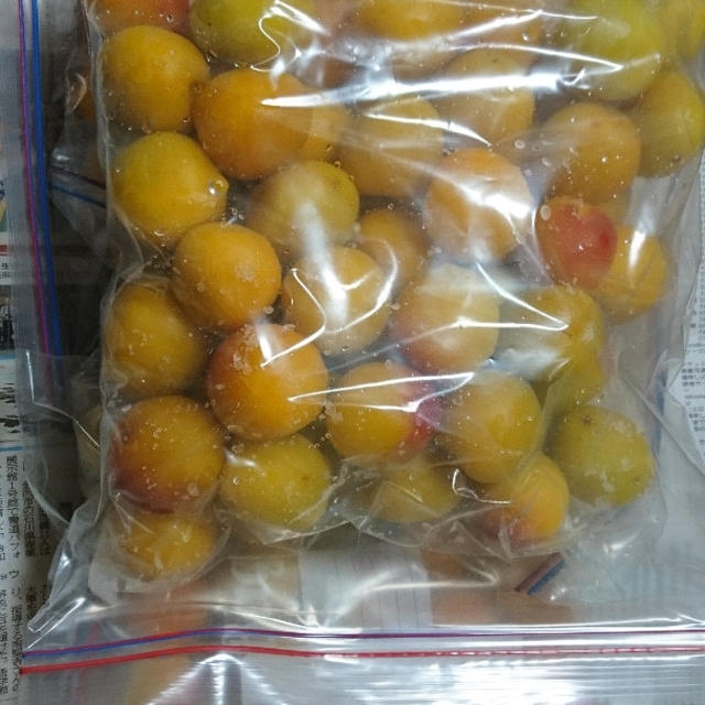 梅仕事
