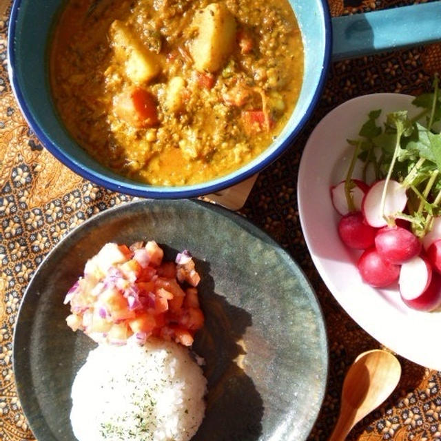 野菜と挽き肉のスパイスカレー