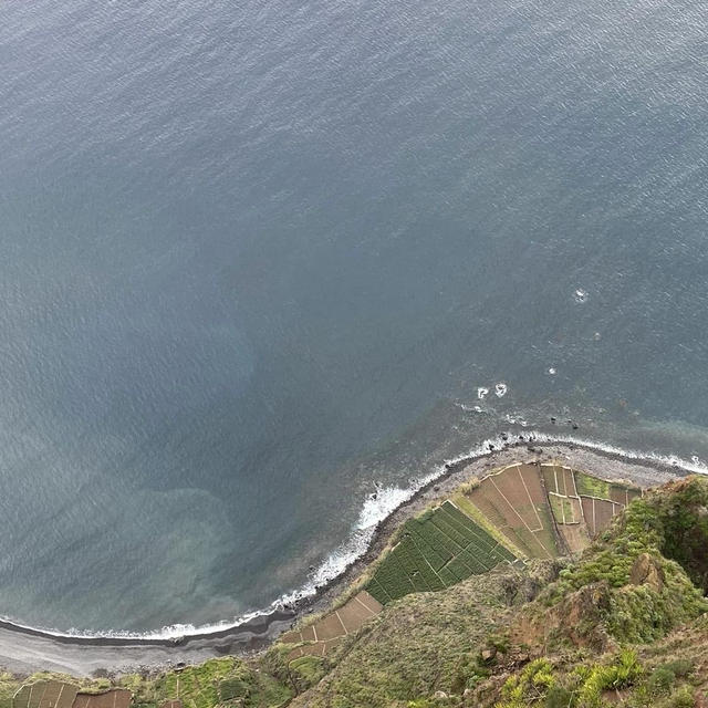マデイラ旅行（５）カマラ・デ・ローボス　ジラン岬(Cabo Girão)へ