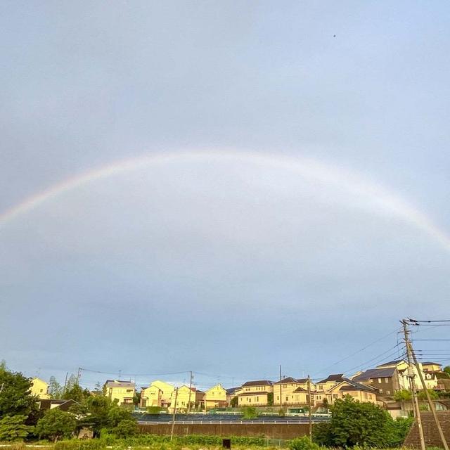 偶然出会えた大きな虹