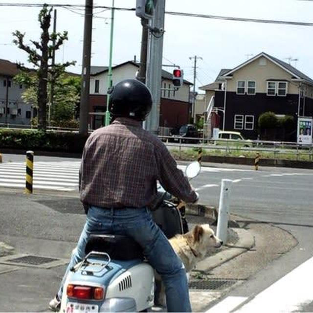 早くも改宗か？