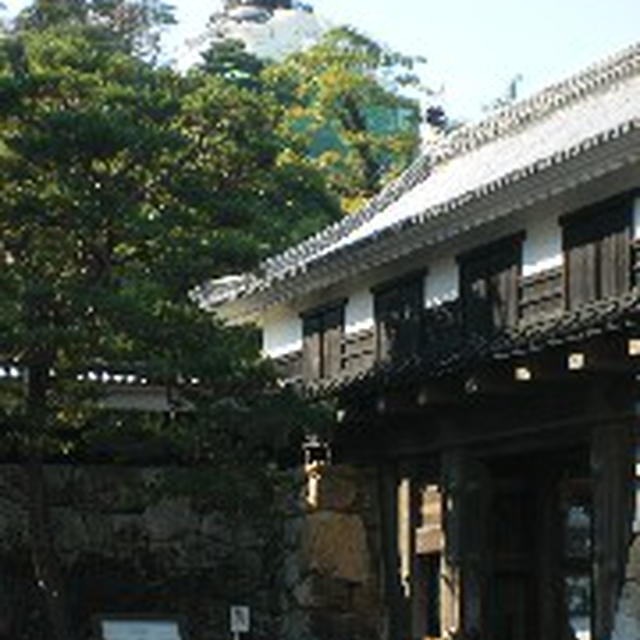 高知