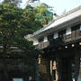 高知
