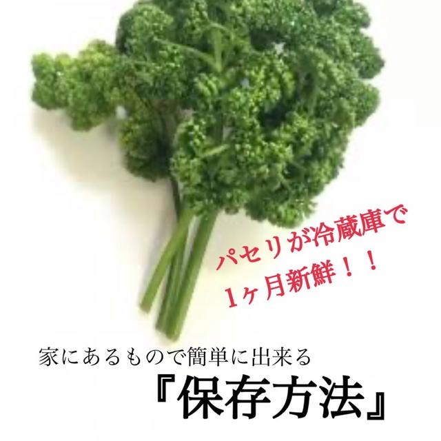 パセリを冷蔵庫で１か月、新鮮な状態で保存する方法