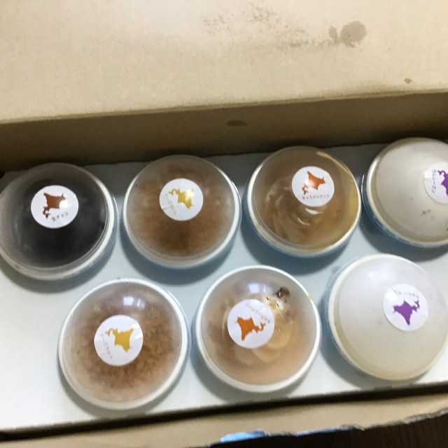 主婦と新店舗