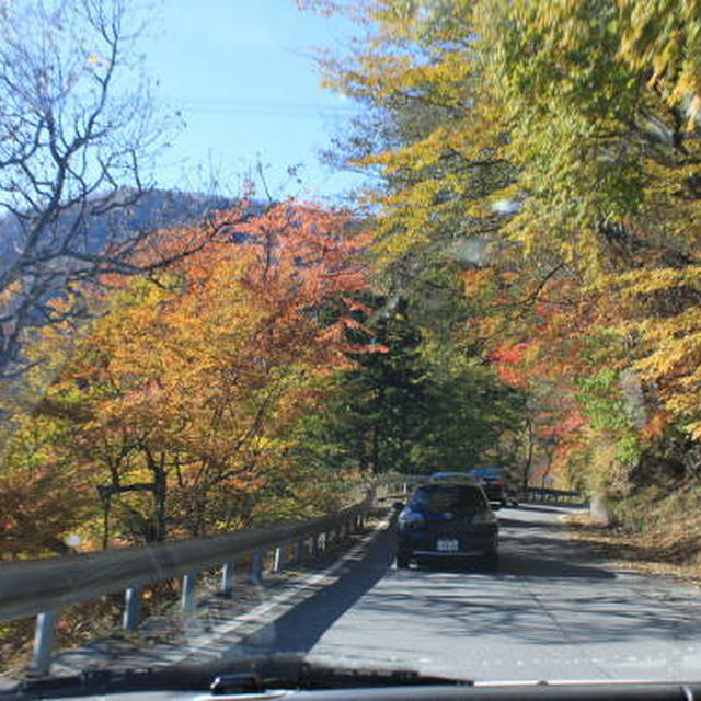 日光いろは坂の紅葉♪