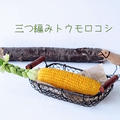 三つ編みトウモロコシ