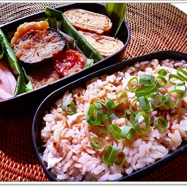 鯛めし後、ダンナ弁。