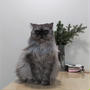 Merry Christmas from フィーフィー♡(=^・^=)