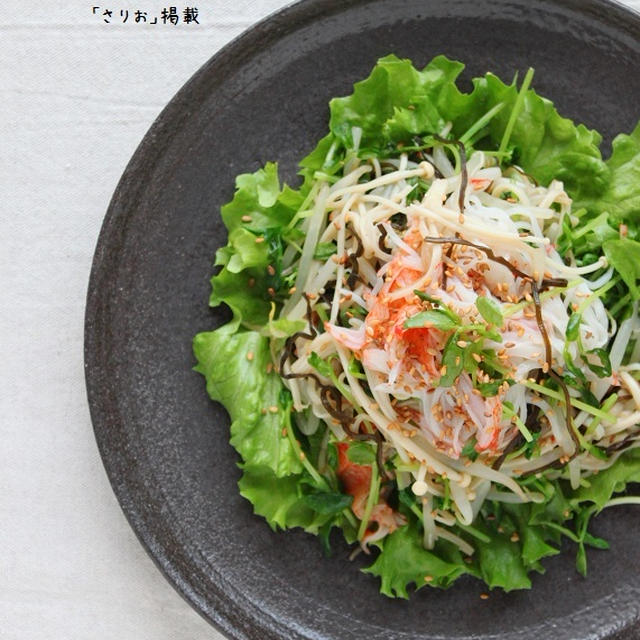 ほぼ包丁いらず、火いらず「もやしと豆苗の塩昆布ポン酢サラダ」
