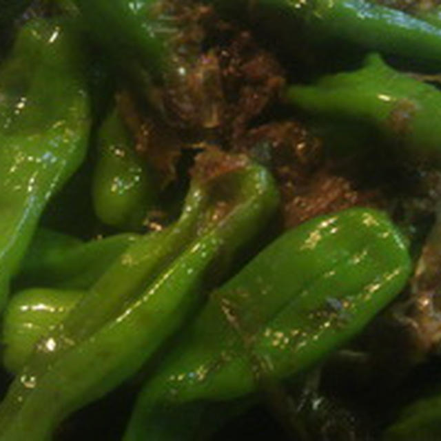 ししとうのおかか煮