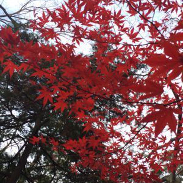 年末の大仕事、ありがとうございます