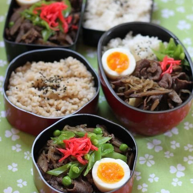 牛肉のしぐれ煮　☆　豆腐ハンバーグプレート♪