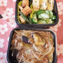 ナスともやしの麻婆弁当