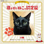 【小梅・さくら・桃之介通信】玉電110周年記念 福を招くねこ 認定証♪