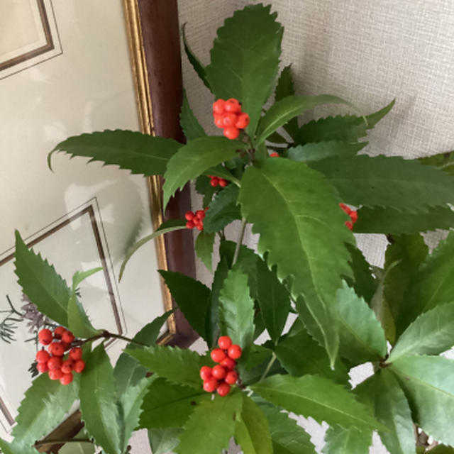 年末のご挨拶