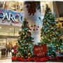 ■街のクリスマスツリーと大好きなKALDIのお楽しみ袋♪ヽ( ﾟ∀ﾟ)ﾉ■仙台駅付近
