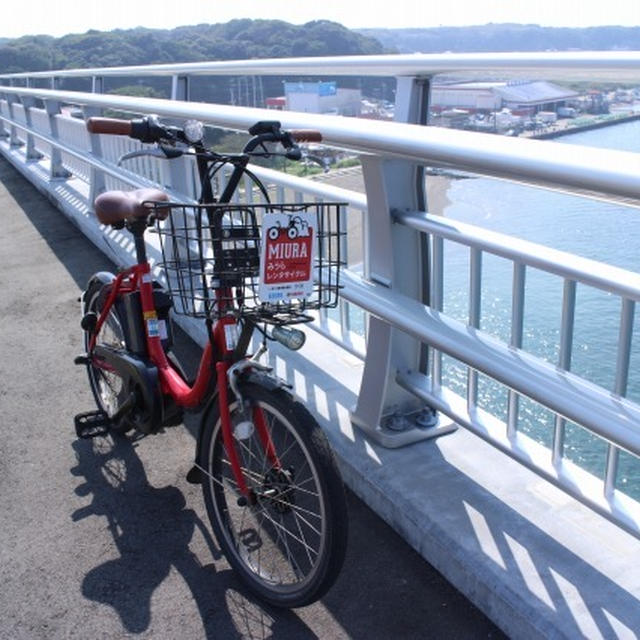 みうらレンタサイクルの旅#三浦半島 #三崎　