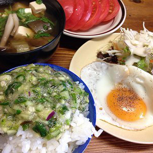 山形のだしたっぷりご飯。夏野菜の収穫。ぬいぐるみ